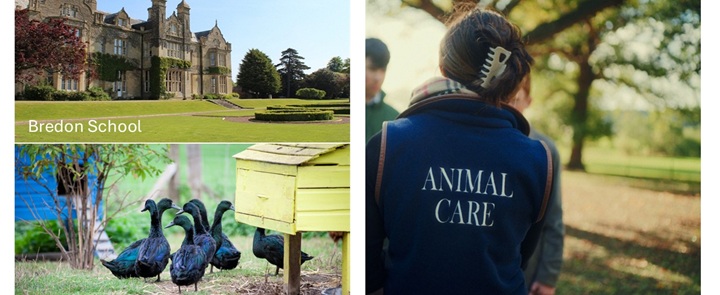 Did you know some British boarding schools have farms? | Dickinson School Consulting