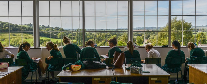 Branching out at BBSW | Dickinson School Consulting