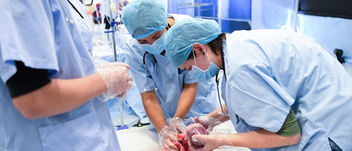 Future Medics LIVE at Truro High | Dickinson School Consulting