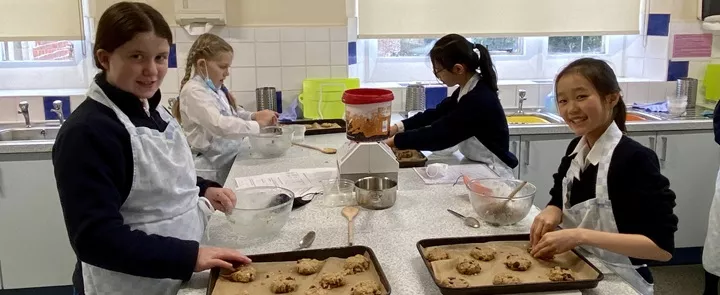 Mayfield School | Dickinson School Consulting