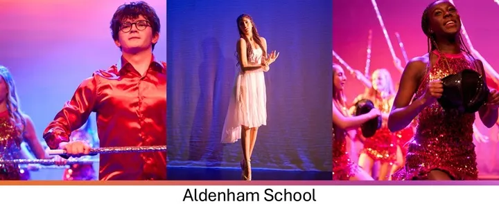 Aldenham School | Dickinson School Consulting