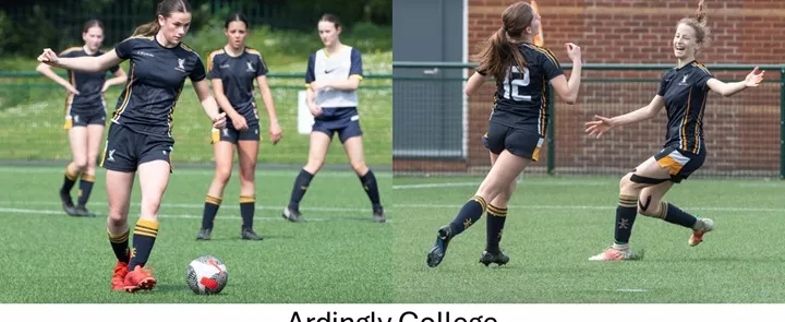 Ardingly College | Dickinson School Consulting
