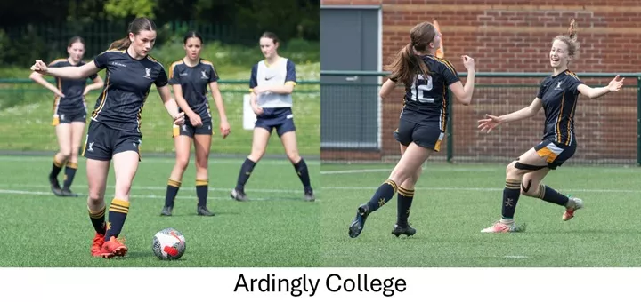 Ardingly College | Dickinson School Consulting