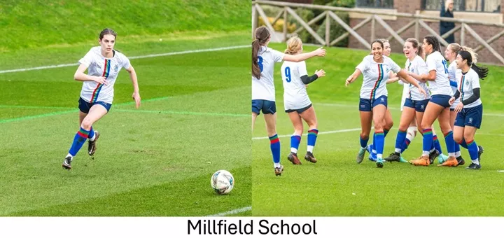 Millfield School | Dickinson School Consulting