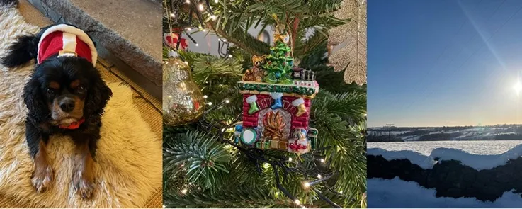 Season’s greetings from Dickinson British School Consulting