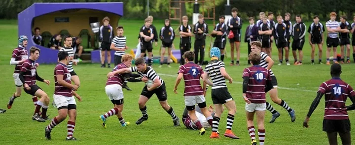 Ellesmere Rugby Academy | Dickinson School Consulting